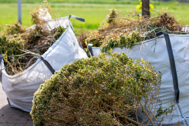 Best Estate Cleanout Services  in Imlay City, MI