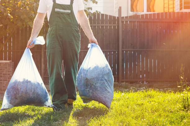 Best Furniture Removal Near Me  in Imlay City, MI